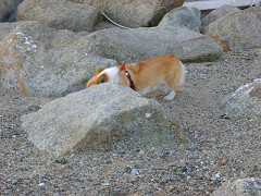 Resize of SANY1002_thumb.jpg